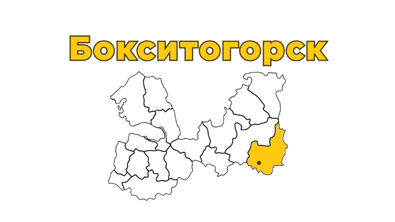 Ремонт бытовой техники в Бокситогорске