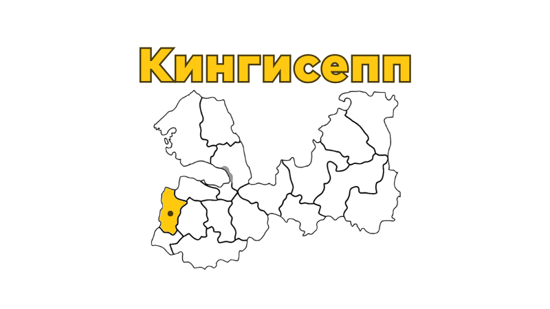 Ремонт бытовой техники в Кингисеппе