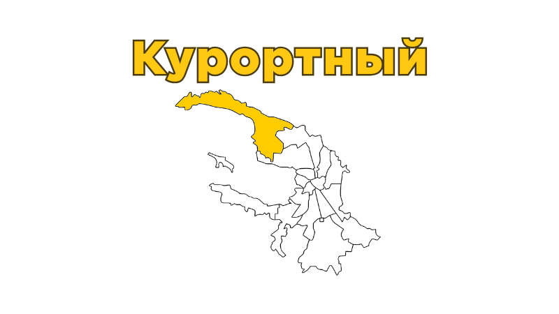 Ремонт бытовой техники в Курортном районе