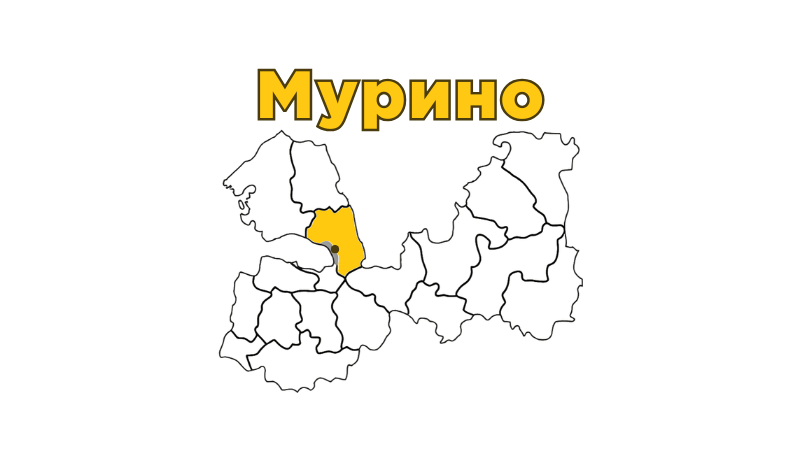 Ремонт бытовой техники в Мурино