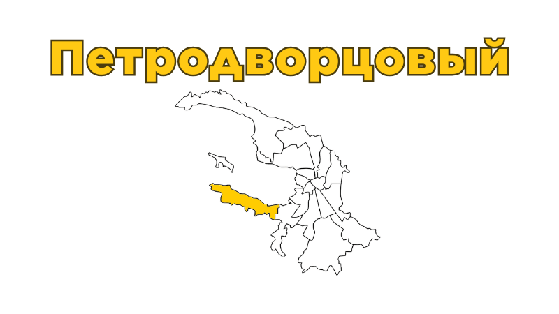 Ремонт бытовой техники в Петродворцовом районе