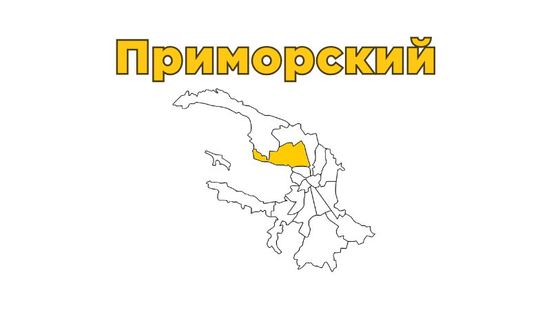 Ремонт бытовой техники в Приморском районе