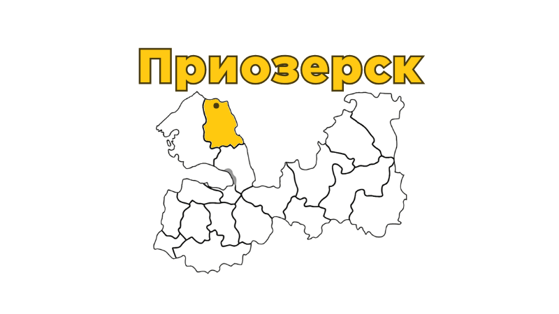 Ремонт бытовой техники в Приозерске