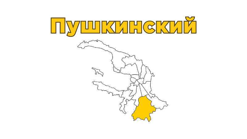 Ремонт бытовой техники в Пушкинском районе