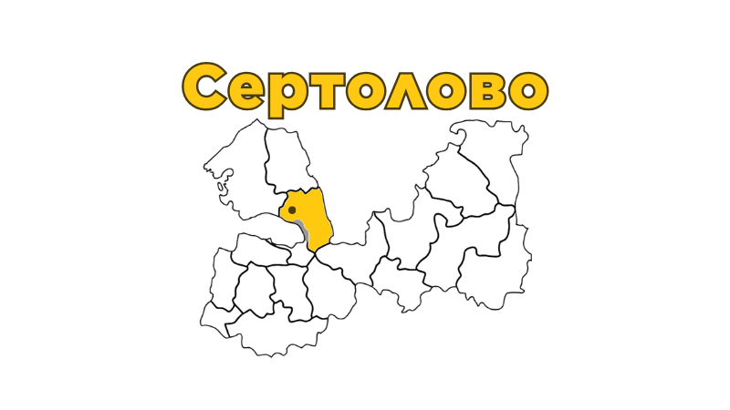 Ремонт бытовой техники в Сертолово
