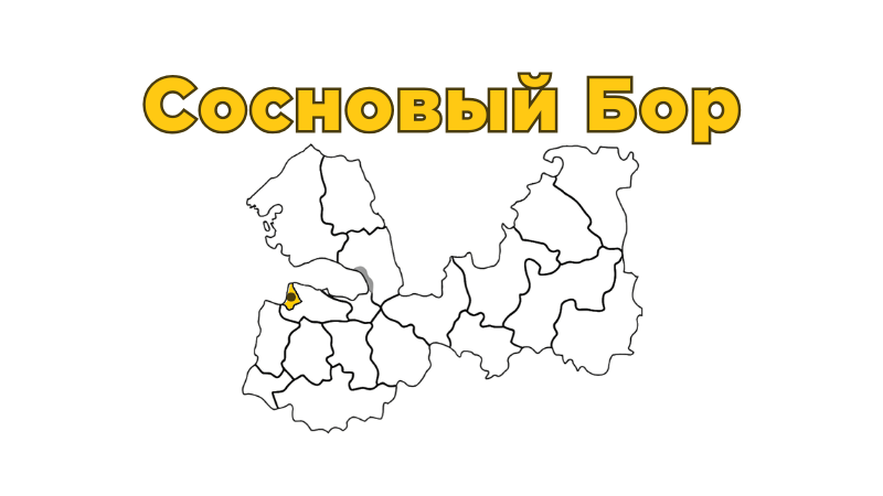 Ремонт бытовой техники в Сосновом Бору